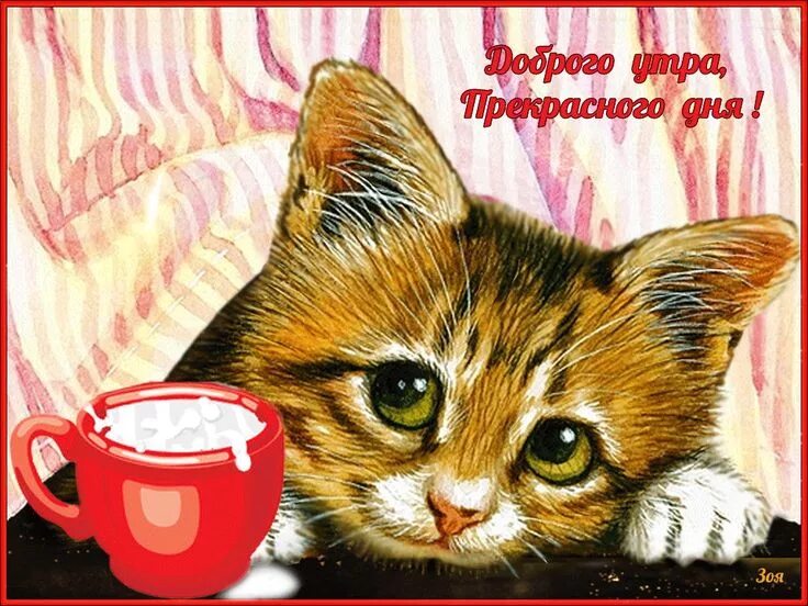Картинки хорошего дня прикольные с животными Открытки анимация Доброго утра Открытки анимация Gatti