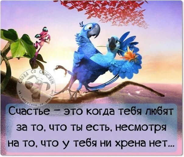 Картинки хорошего дня прикольные со смыслом Позитивные фразочки со смыслом Fish pet, Pets, Animals