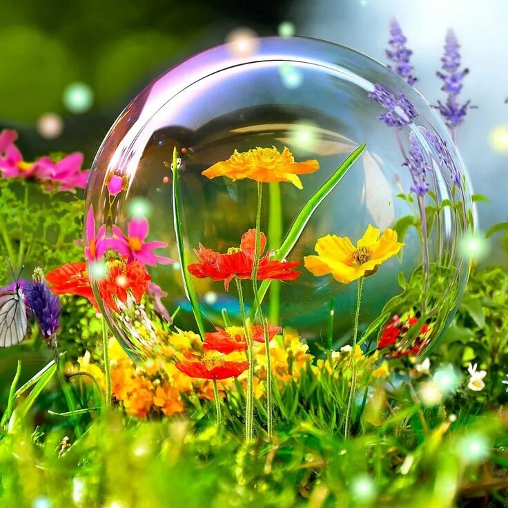 Картинки хорошего дня природа скачать бесплатно Download 3d Nature Wallpaper Hd 1080p Free Download - New Images Of Nature On It