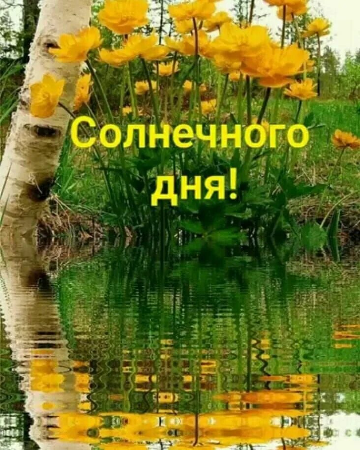 Картинки хорошего дня природа скачать бесплатно 71 отметок "Нравится", 0 комментариев - Алла Серпанко. (Яныгина) (@ianygi) в Ins