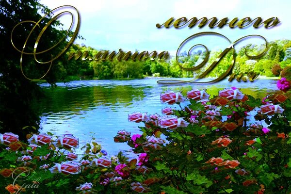 Картинки хорошего дня природа скачать бесплатно Доброе утро!!! - Чашка кофе, пользователь Ольга Плесовских Группы Мой Мир