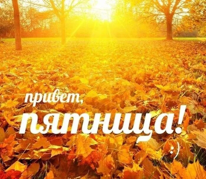 Картинки хорошего дня пятница осень Finally, the week has completed its cycle, and we are back to Friday. I wish you