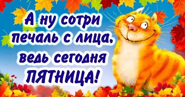 Картинки хорошего дня пятницы осенние Вот и наступила долгожданная пятница! Всем лёгкого дня, замечательного настроени