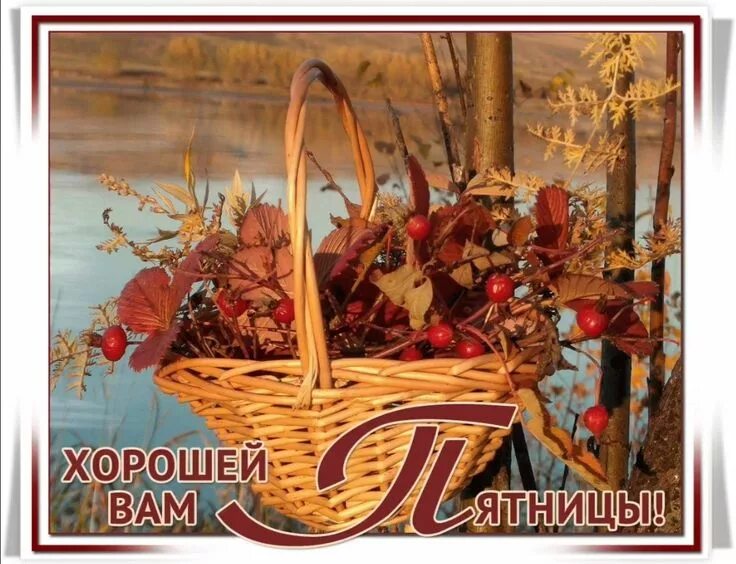 Картинки хорошего дня пятницы осенние красивые Pin page