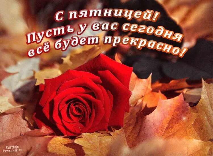 Картинки хорошего дня пятницы осенние красивые ВысокоВодопадное доброутреннее с конкурсом) - Блог "Утро с АСТВ" - astv.ru