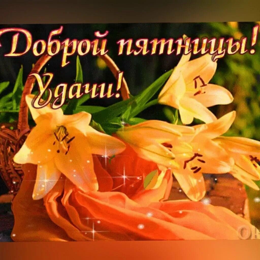 Картинки хорошего дня пятницы скачать бесплатно Доброй Пятницы И Хороших Выходных Картинки - Mixyfotos.ru