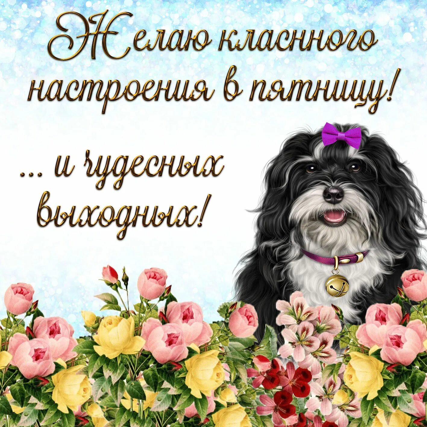Картинки хорошего дня пятницы скачать бесплатно Пин от пользователя Зинаида Бабенко на доске Доброе утро Открытки, Выходные, Кар