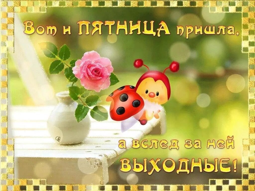 Картинки хорошего дня пятницы скачать бесплатно Good morning friends. Today is Friday 13th January 2023 7 причин VK