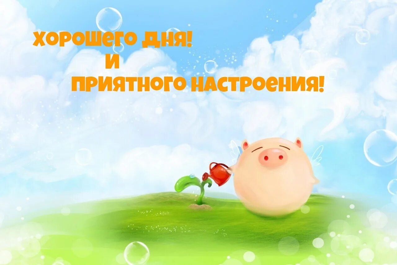 Картинки хорошего дня рабочего настроение Доброго утра, подписчики нашей группы Подслушано в Языково и Благоварского район