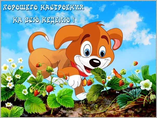 Картинки хорошего дня ребенку скачать Песни хорошего настроения видео - найдено 89 картинок