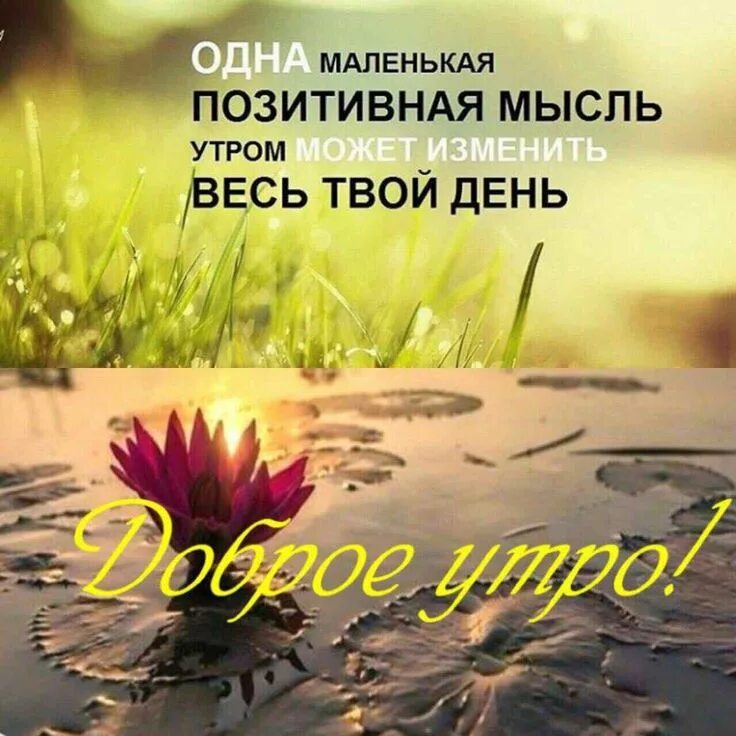 Картинки хорошего дня с мудрыми высказываниями Пин на доске русские открытки Доброе утро, Цитаты, Умные цитаты