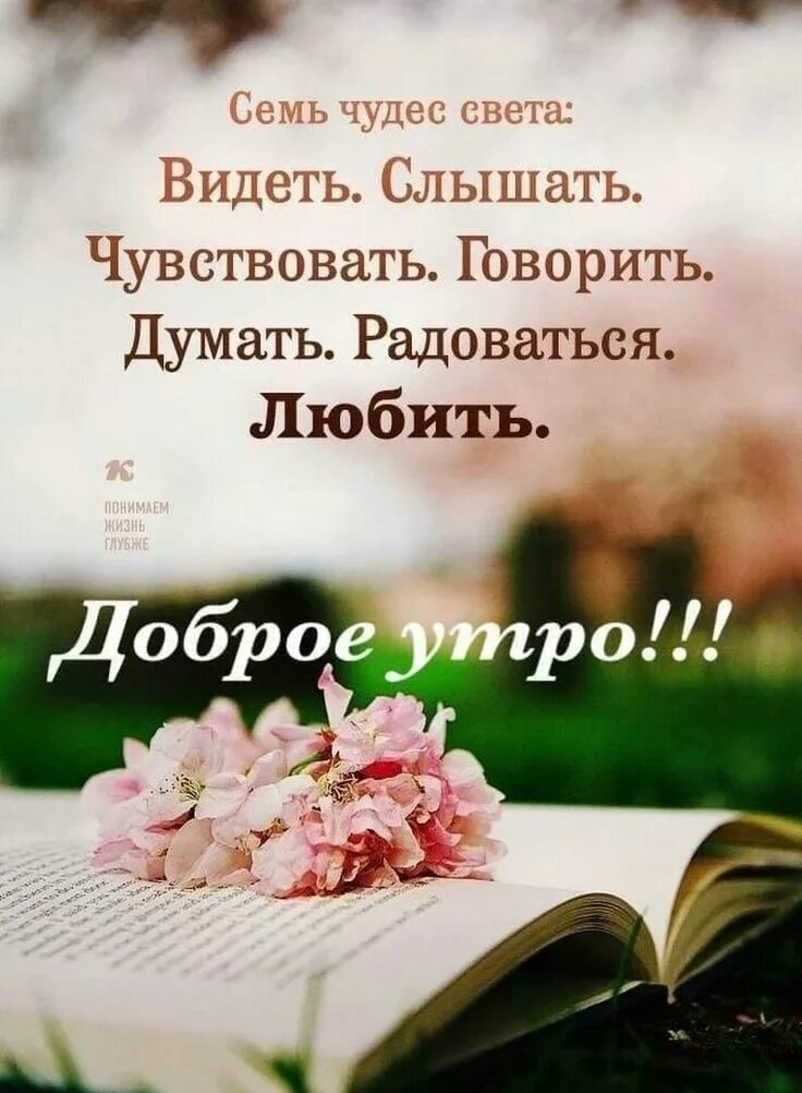Картинки хорошего дня с мудрыми высказываниями Пин от пользователя Irina Odonata Krylova на доске Доброе утро Доброе утро, Утре