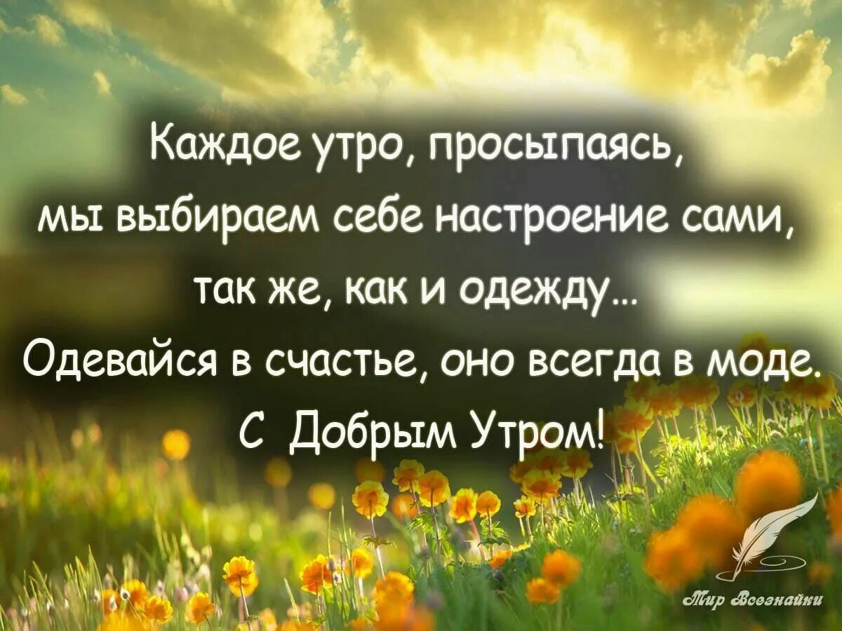 Картинки хорошего дня с мудрыми высказываниями Pin by Lina on Доброе утро, вечер и день Wise quotes, Words, Wise