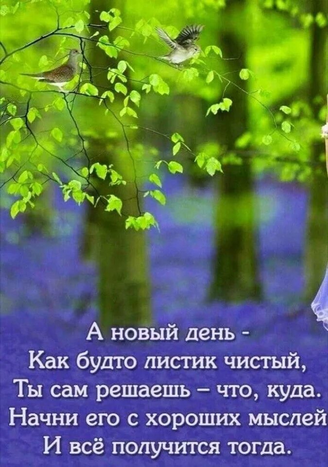 Картинки хорошего дня с мудрыми высказываниями #pinterest #пинтерест #attuale #красивосказано #жизнь #вдохновение #картинки Rus