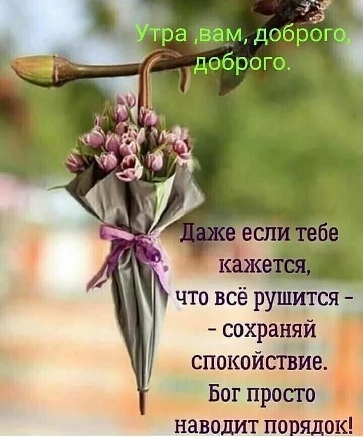 Картинки хорошего дня с мудрыми высказываниями Pin by Marina on Мир позитива и Хорошего настроения! Good morning photos, Christ