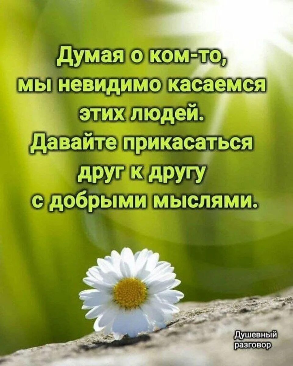 Картинки хорошего дня с мудрыми высказываниями Светлые мысли (Мария Ногаева) / Стихи.ру