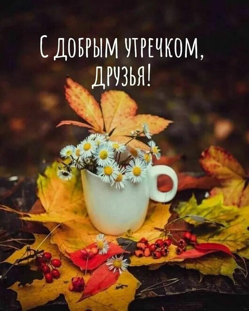 Картинки хорошего дня с осенней тематикой Pin de u041Bu0451u043Bu044F Galu en Осінь Saludos de buenos dias, Frases de 