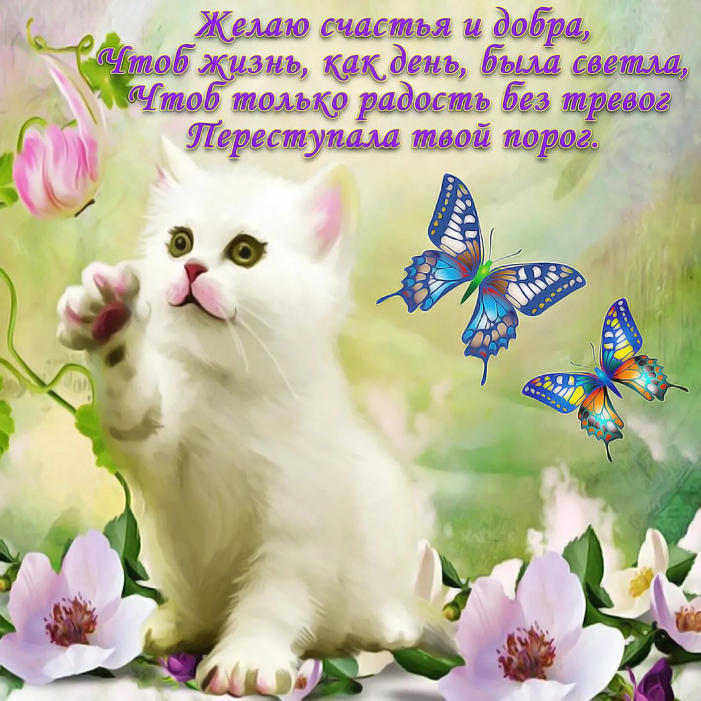 Картинки хорошего дня с пожеланиями красивые новые Новые счастья всем: найдено 89 изображений