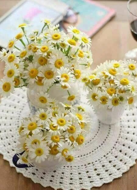 Картинки хорошего дня с ромашками Pin by fátima borges on crochê Happy flowers, Daisy flower, Beautiful flowers