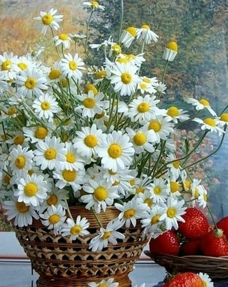 Картинки хорошего дня с ромашками Pin by claudia zunzunegui on margaritas Pretty flowers, Happy flowers, Beautiful