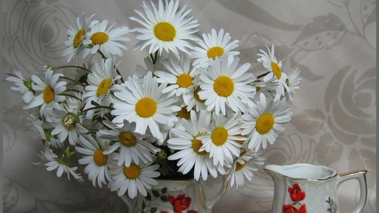 Картинки хорошего дня с ромашками красивые Wallpaper daisies, flowers, bouquet, white, vase hd, picture, image