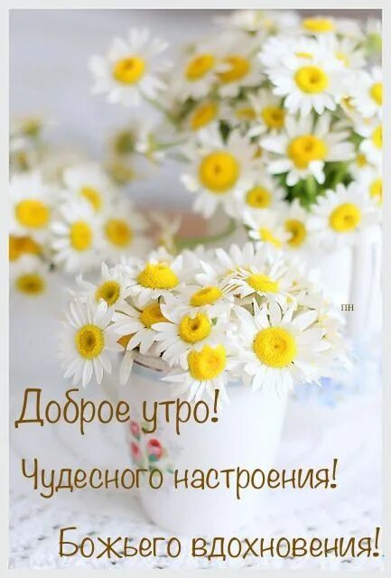 Картинки хорошего дня с ромашками красивые Пин от пользователя Наталия П на доске Доброе утро))) Счастливые картинки, Добро
