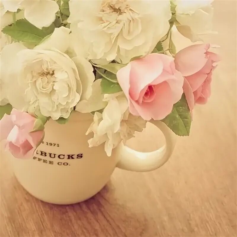 Картинки хорошего дня самые нежные All things soft and beautiful... Pink and white flowers, Pretty flowers, Beautif