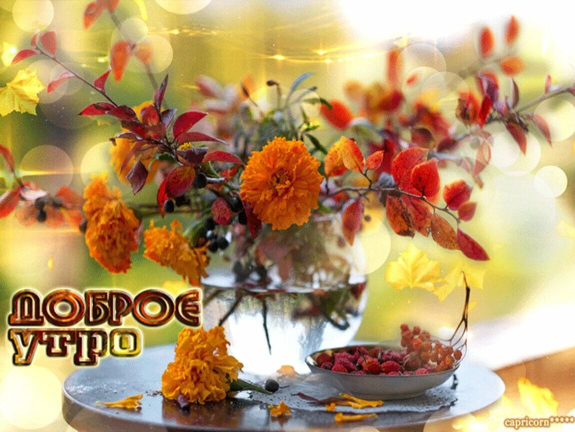 Картинки хорошего дня сентябрь природа Картинки доброе осеннее утро пожеланием: найдено 81 изображений
