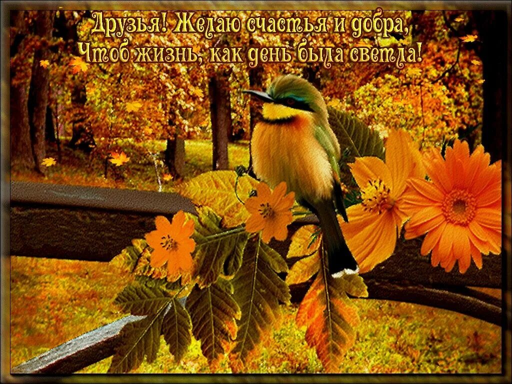 Картинки хорошего дня сентябрь природа Pin on Для моих друзей Spirit animal art, Happy day gif, Happy tuesday