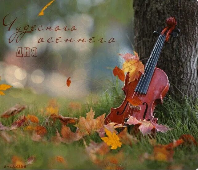 Картинки хорошего дня сентябрь природа Pin by Lina on Доброе утро, вечер и день Beautiful gif, Colorful roses, Nature p