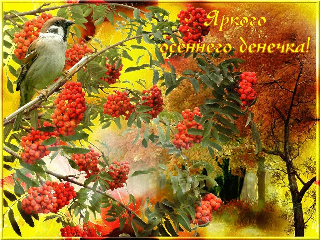 Картинки хорошего дня сентябрь природа Картинки ОТКРЫТКИ ХОРОШЕГО ДНЯ ОСЕННИЕ ГИФКИ