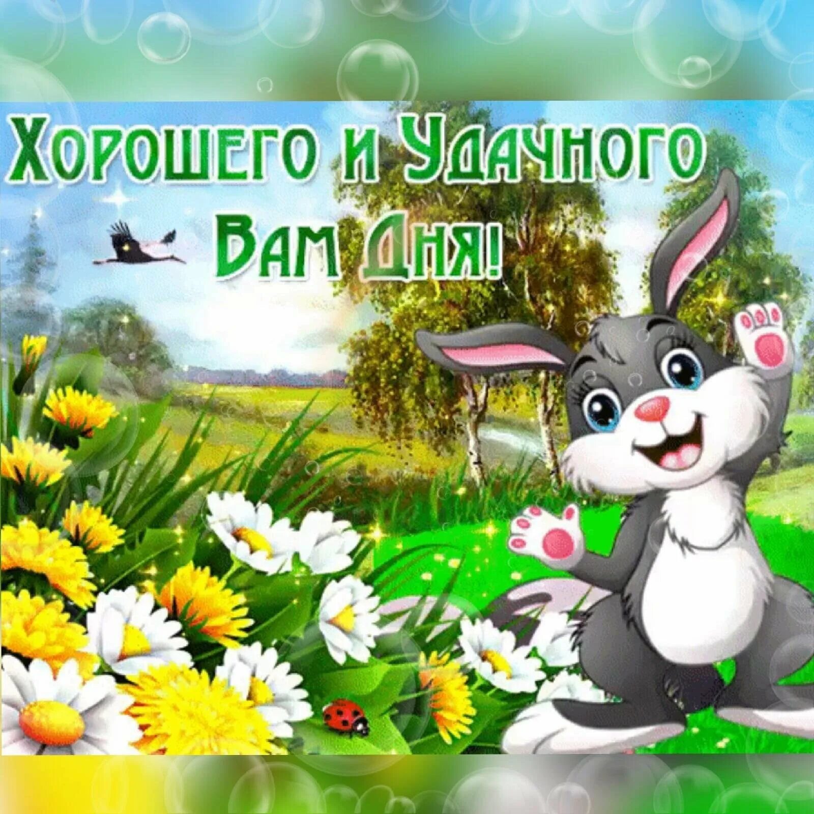 Картинки хорошего дня скачать бесплатно новинки Замечательного дня видео: найдено 86 изображений