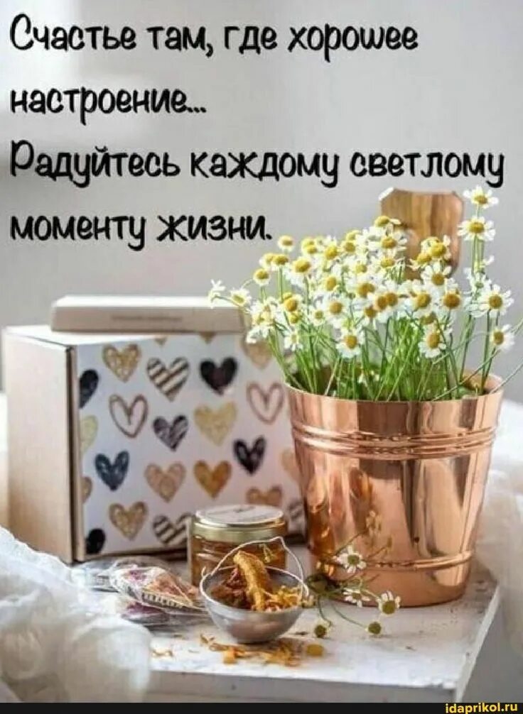 Картинки хорошего дня со смыслом новые Очастье там, где хорошее настроение. 'Бадуйтесь каждому светлому - АйДаПрикол Ци