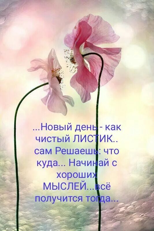 Картинки хорошего дня со смыслом новые Pin von Mara Sheynin auf Пожелания Russische sprüche, Guten morgen, Guten morgen