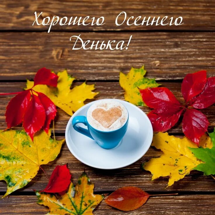 Картинки хорошего дня стильные осенние Хорошего Осеннего Денька! Осень, Розовые воздушные шары, Кофейные карточки