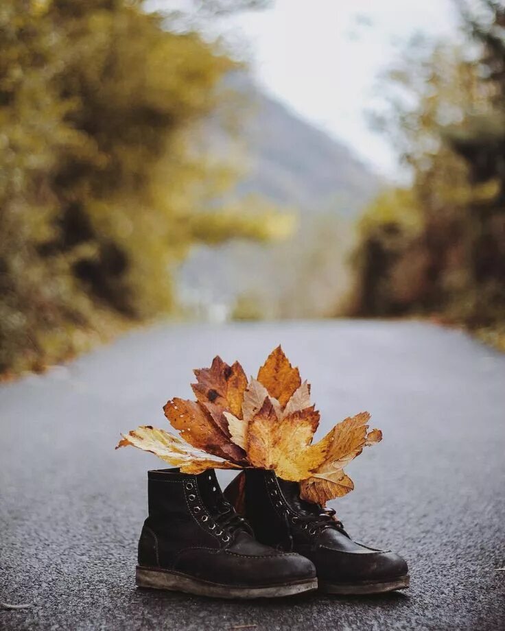 Картинки хорошего дня стильные осенние Pin on Autumn in the Village