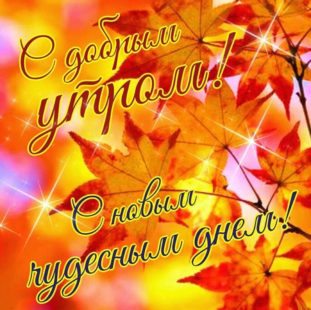 Картинки хорошего дня субботы осенние #разное 2023 В лучах Чернолучья ВКонтакте