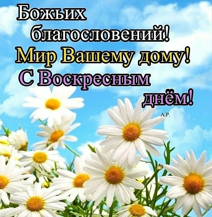 Картинки хорошего дня церковные Pin by Светлана on МИР вашему дому... Good morning, Plants