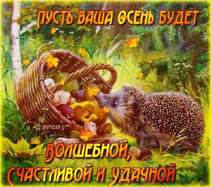 Картинки хорошего дня теплой осени Волшебной, счастливой и удачной осени Birthday greeting message, Good morning, T