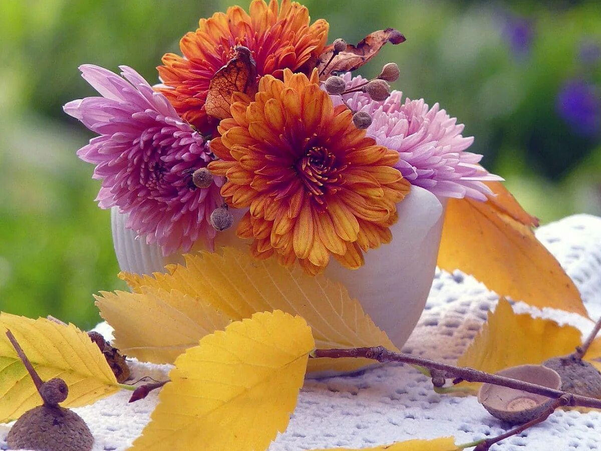 Картинки хорошего дня теплой осени Online Jigsaw Puzzle "Autumn still life"