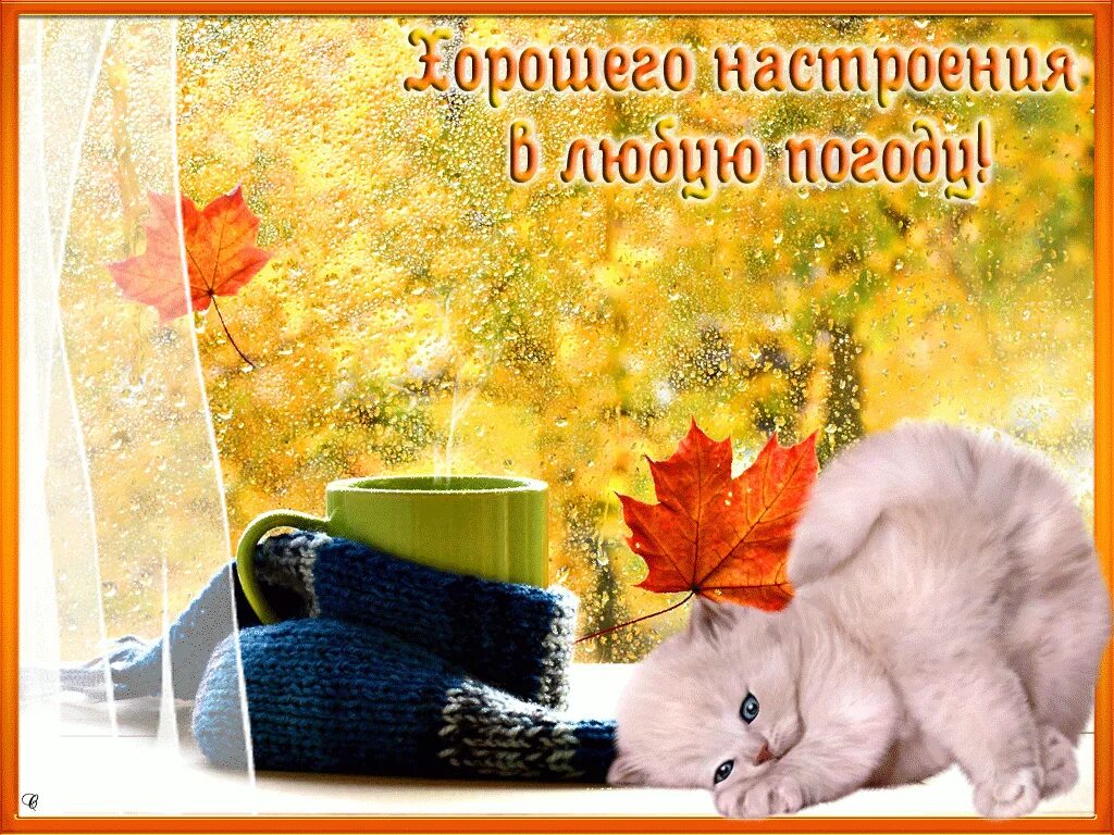 Картинки хорошего дня в любую погоду осенние Вот и кончается октябрь.