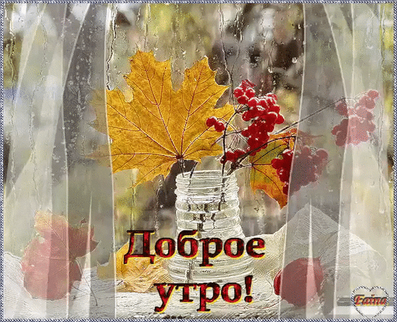 Картинки хорошего дня в любую погоду осенние Доброе пасмурное осеннее утро - найдено 76 картинок