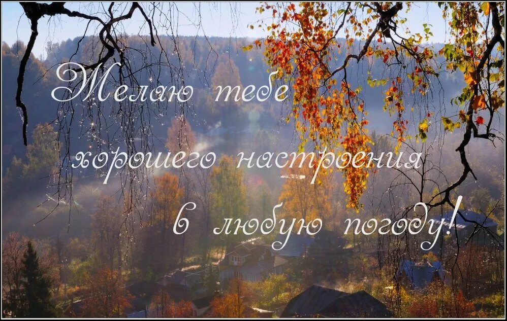 Картинки хорошего дня в любую погоду осенние БЛИЗНЕЦЫ. Осенью вы сумеете добиться "долгожданного статуса" на работе. И встрет