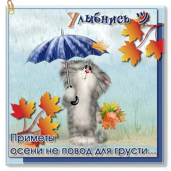 Картинки хорошего дня в любую погоду осенние А ОСЕНЬ ПРЕКРАСНА... - Просто ДОБРОЕ УТРО , пользователь Людмила Феденюк Группы 