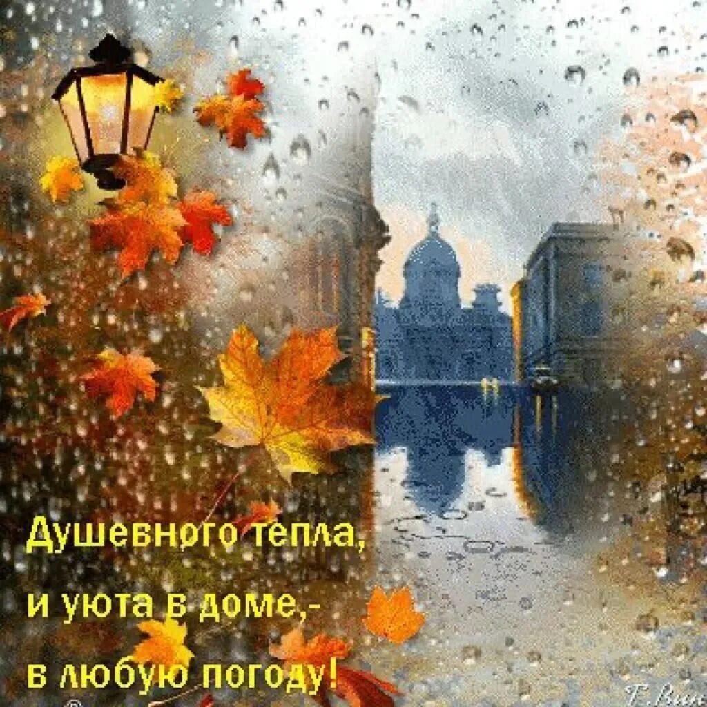 Картинки хорошего дня в любую погоду осенние Осень дарит нам лёгкую грусть. Разноцветный ковёр тихо стелется. Дождь стучит по