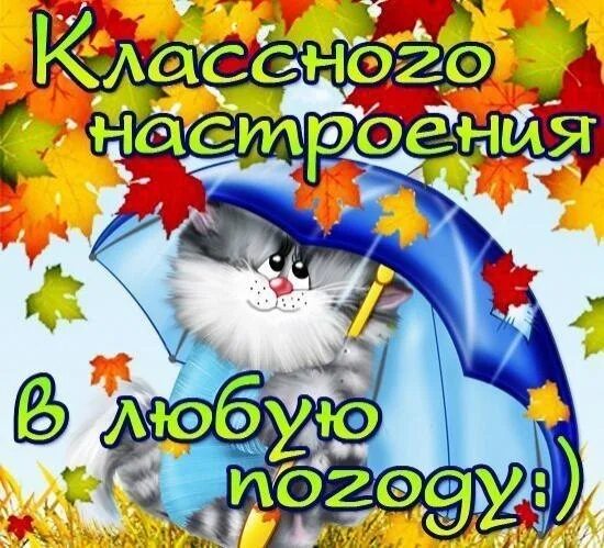 Картинки хорошего дня в любую погоду осенние ☆ Отправлено через https://vk.com/top_cards# 4272528 2013 Юлия Камашева ВКонтакт
