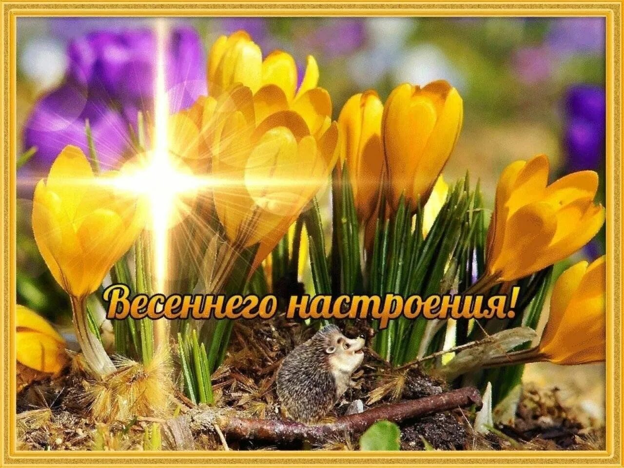 Картинки хорошего дня весенние настроения картинки Весеннее настроение " 2023, Арбажский район - дата и место проведения, программа