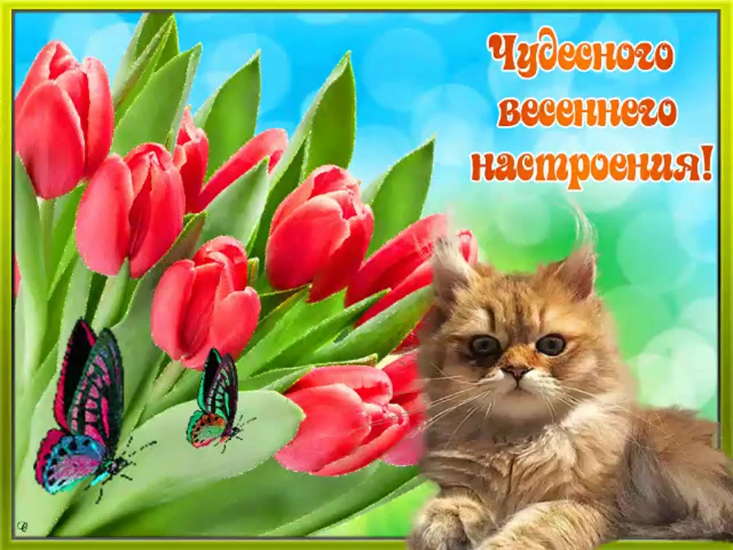 Картинки хорошего дня весенние настроения картинки Чудесный отличный: найдено 84 изображений
