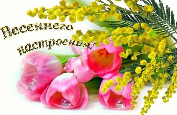 Картинки хорошего дня весенние настроения картинки Pin on Открытки Seasons of the year, Seasons, Spring
