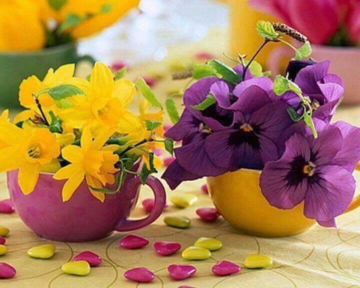 Картинки хорошего дня весенние настроения картинки Pin on флора Flowers, Flower vases, Planter pots indoor